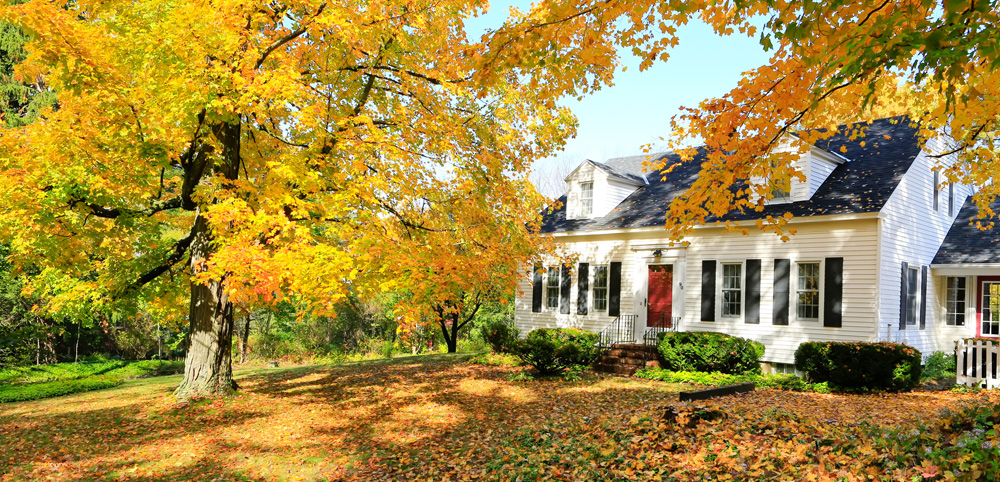 Home_Image Home_Image