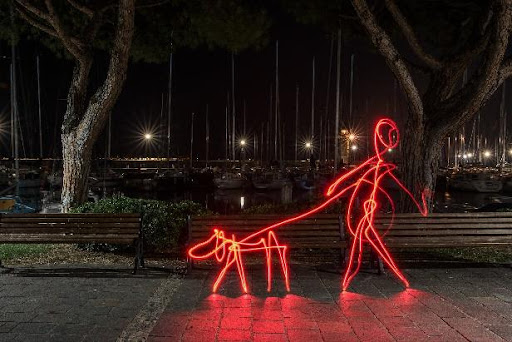 Walking Your Dog at Night