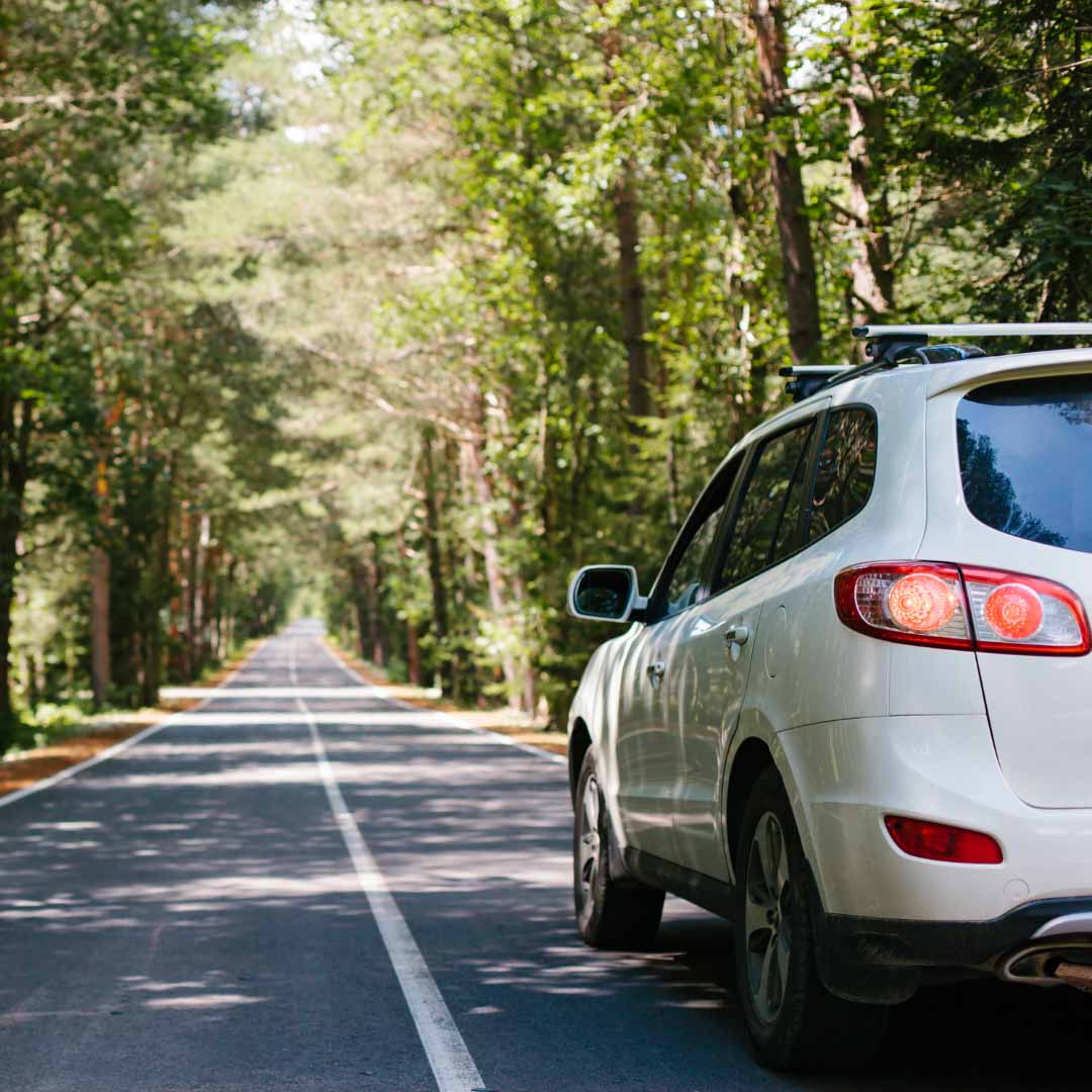 Auto Insurance