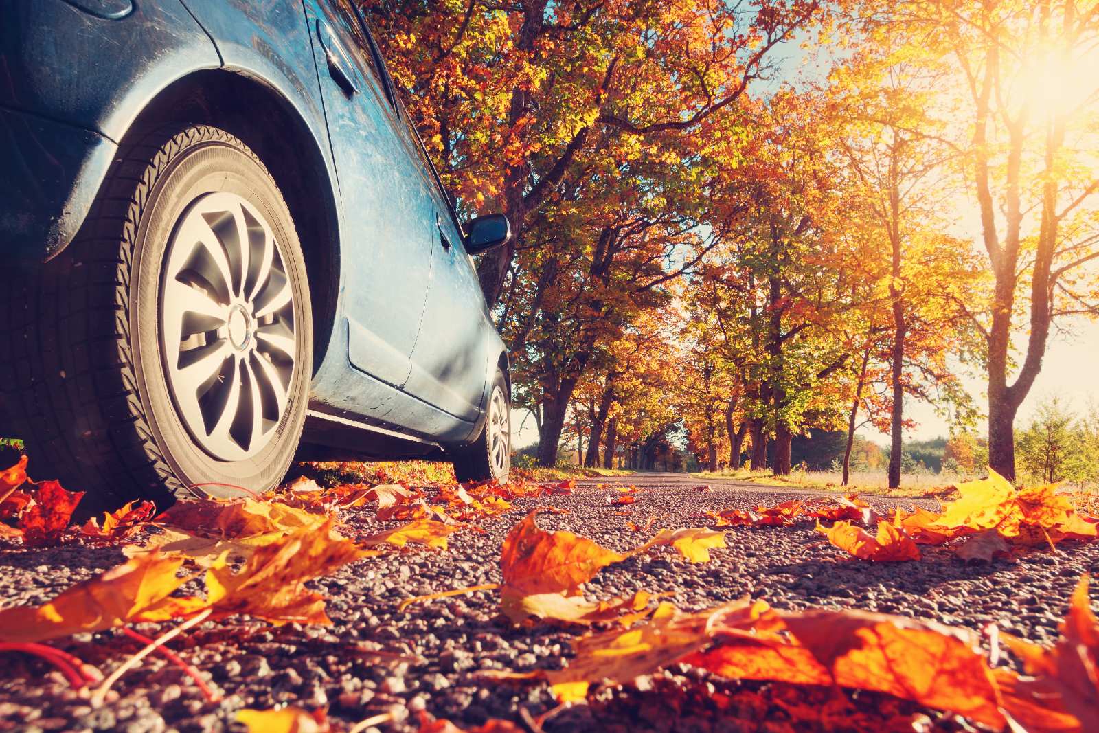 Auto Insurance