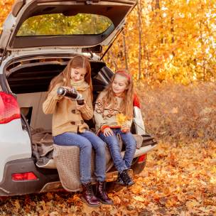 Auto Insurance